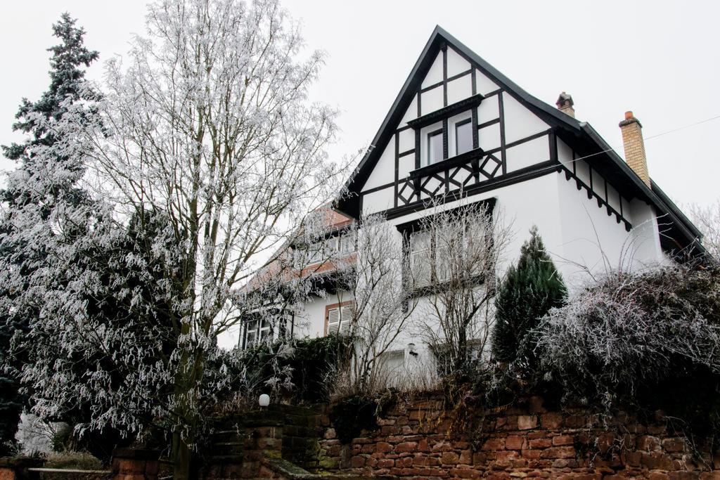 La Villa Du Coteau 오베르네 외부 사진